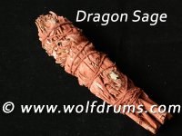 Dragon Sage