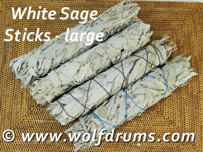 * White Sage (California) - stick lrg - Click Image to Close