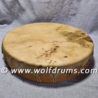 Circle of Life Drum - Fallow Deer Rawhide 18in Drum