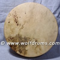 Circle of Life Drum - Fallow Deer Rawhide 18in Drum
