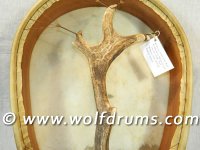 Ovoid Sámi Shaman Drum - Fallow Deer Doe