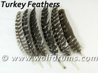 Turkey Wing Feather - single