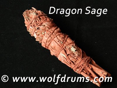 Dragon Sage - Click Image to Close