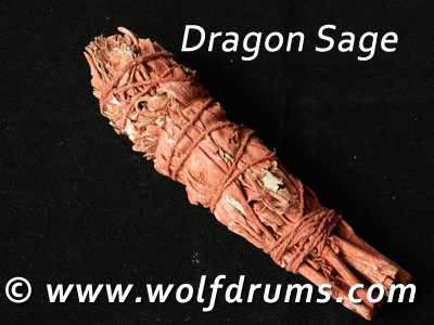 (image for) Dragon Sage