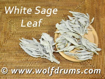 White Sage (California) - loose leaf 100g - Click Image to Close